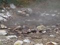 Azorerne 2007 155